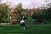v0016.jpg